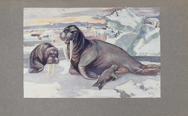 Детская энциклопедия / Под ред. проф. Ю.Н. Вагнера, С.А. Князькова [и др.]. [В 10 т.]. Т. 1-10. М., 1914.